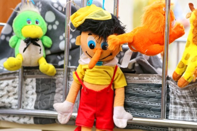 Faschingsumzug 2023 (Fotos Rochus Hetzendorfer)